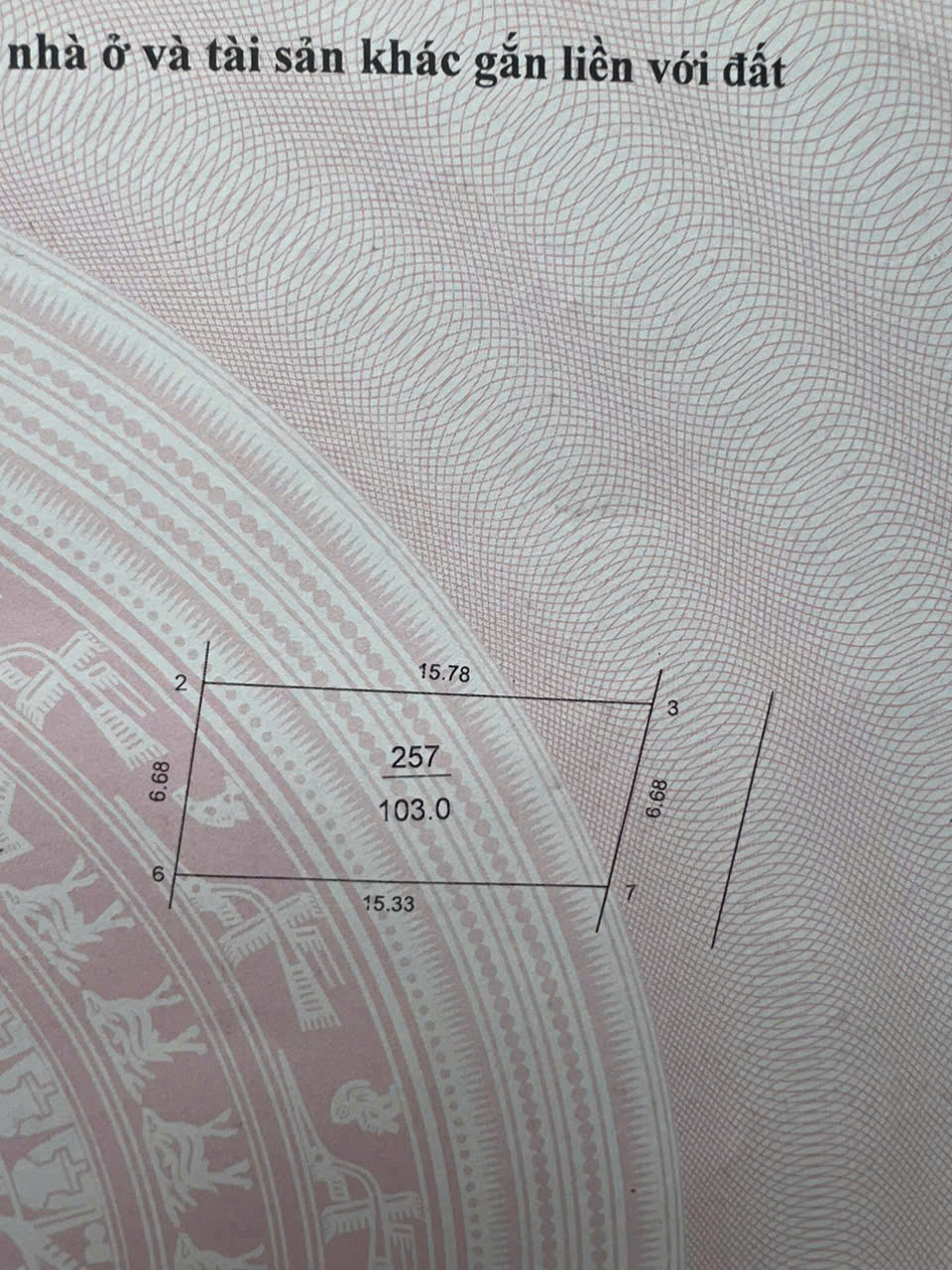 z6796535969465_94728521b61bb034a594180db52468e8