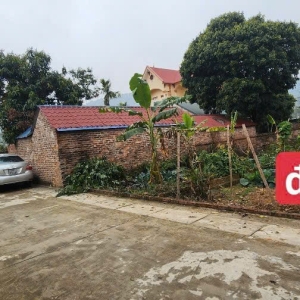 Bán gấp 2 lô 60m2 full thổ cư Thanh Hà - Trung Giã - Hà Nội