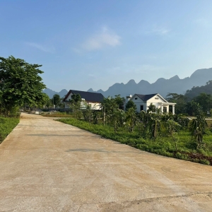 Bán Đất Nền Phong Quang – 8x33m Full Thổ Cư