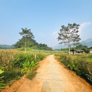 Bán Đất Nhà Vườn Phong Quang (Siêu rộng)