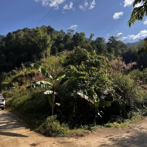 Bán Đất Du Lịch Thôn Tiến Thắng – 1200m² (400m² Thổ Cư) – Vị Trí Đắc Địa Làm Homestay