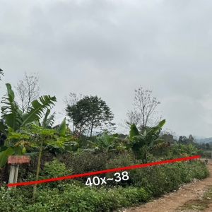 CHÍNH CHỦ BÁN GẤP ĐẤT NHÀ VƯỜN - THÔN LÙNG CÀNG, PHONG QUANG (QUY HOẠCH P-HG2)