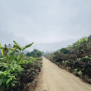 BÁN ĐẤT PHONG QUANG - TRỤC CHÍNH THÔNG SANG DẺO CAO QUANG TRUNG